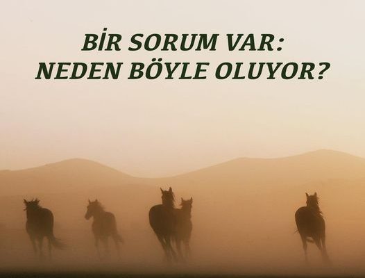 BİR SORUM VAR: NEDEN BÖYLE OLUYOR?