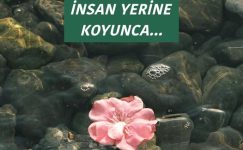 İNSAN YERİNE KOYUNCA