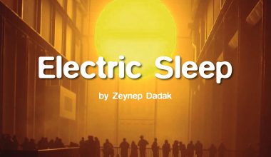 Zeynep Dadak’a Talinn’den ödül Zeynep Dadak’a Talinn’den ödül