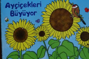 MERAKLI MİNİK HAZİRAN 2014
