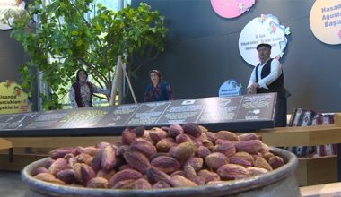 Dünyanın ilk ve tek fıstık müzesi Gaziantep’te