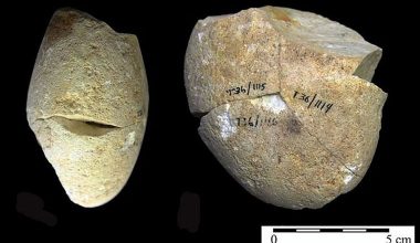 İnsanlığın kullandığı en eski alet bulundu