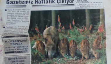 AV DÜNYASI AVCININ SESİNİ DUYAN DUYURAN TEK GAZETE 22 HAZİRAN 1992 AV DÜNYASI AVCININ SESİNİ DUYAN DUYURAN TEK GAZETE 22 HAZİRAN 1992