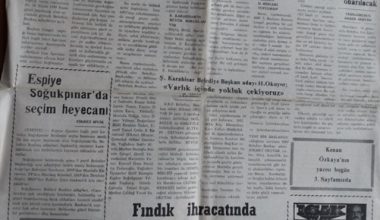 YEŞİLGİRESUN GAZETESİ 19 ŞUBAT 1999 YEŞİLGİRESUN GAZETESİ 19 ŞUBAT 1999