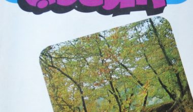 PAMUK ÇOCUK DERGİSİ AĞUSTOS 1979