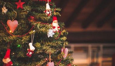 Yeni yıla nasıl girdiniz?