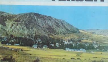 ALUCRA REHBERİ 1981