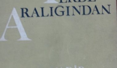 IERDE ARALIĞINDAN NADİR NADİ 1964