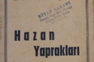 EMİN GÜMÜŞKAYA – HAZAN YAPRAKLARI