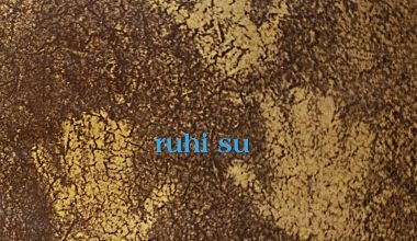 Vitrindeki Albümler