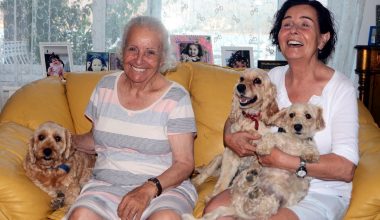 Fatma Girik dönüyor