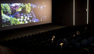 Sinema salonları açıldı mı?
