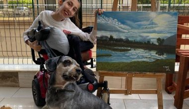 Genç yeteneğin hikayesi