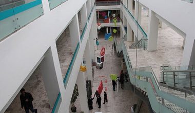 Nilüfer ile Fransa arasında kültürel işbirliği