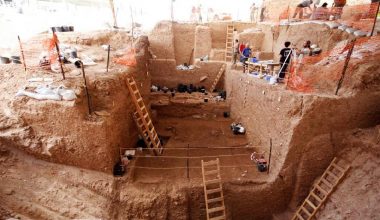 Yeni bir antik insan türü bulundu