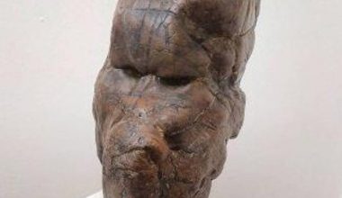 Çoban Ahmet. Çoban Ahmet.