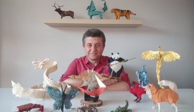 Kağıda hayat veren sanat Origami