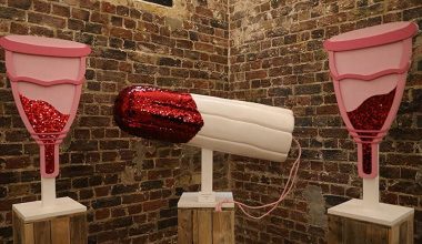 Dünyanın ilk vajina müzesi kendine yeni yer arıyor