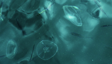 Orada bir sanat eseri gizli!