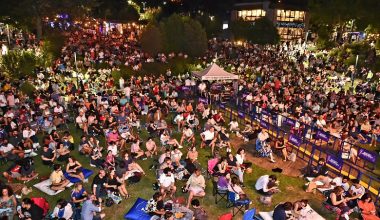 Kardeş Türküler barış için söyledi