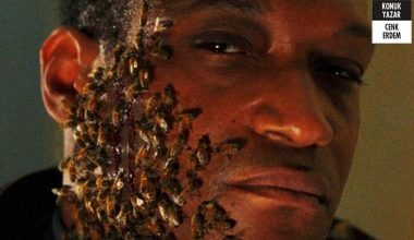 Candyman: Ustaca bir sanat işi Candyman: Ustaca bir sanat işi