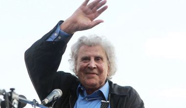 Theodorakis’e veda