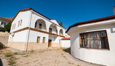 Aşık Veysel’in hatıralarıyla uzun ince bir yol