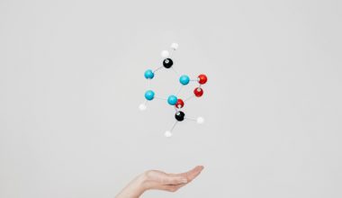 Bilim ve sanatı buluşturan kavram: Biyosanat