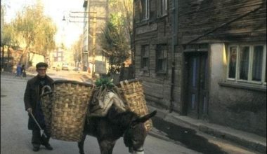 123 meslek unutulmaya yüz tuttu