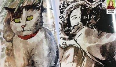 Elif Nurşad Atalay, ‘Âşık Kedi’ çizdi