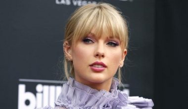 Shake It Off şarkısının sözleri çalıntı dediler,