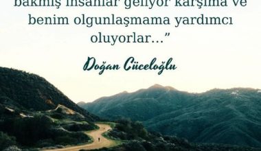 Taşıyor ya. Taşıyor.