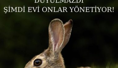 EVVELDEN ÇOCUKLARIN SESİ DUYULMAZDI ŞİMDİ EVİ ONLAR YÖNETİYOR!