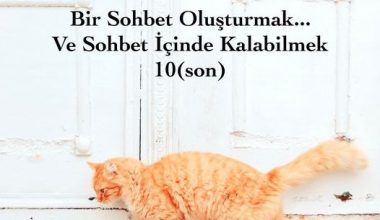 Bir Sohbet Oluşturmak… Ve Sohbet İçinde Kalabilmek – 10(son)