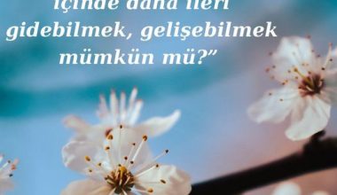 Kapatır geçer gidersin