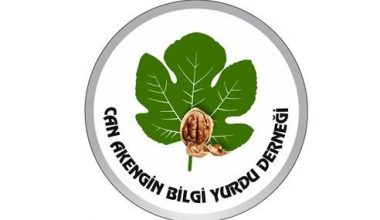 BU ÜÇLÜYE DİKKAT!