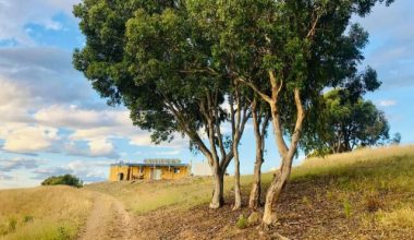 Avustralya’da 41 yıllık bir mikro devlet: Atlantium