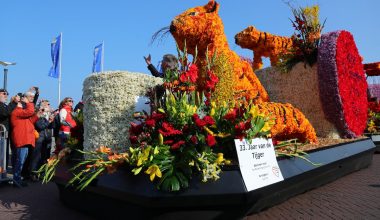 Çiçek festivali renkli görüntüler yarattı