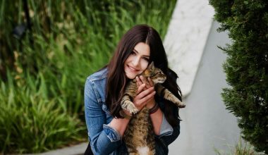 Deniz Çakır: Ana akımda kaliteli projeler,