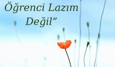 BANA ZEKİ ÖĞRENCİ LAZIM DEĞİL!