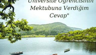 ÜNİVERSİTE ÖĞRENCİSİNİN MEKTUBUNA VERDİĞİM CEVAP