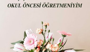 ÇİÇEĞİ BURNUNDA BİR OKUL ÖNCESİ ÖĞRETMENİYİM