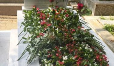 Ferhan Şensoy ölümünün birinci yılında anıldı