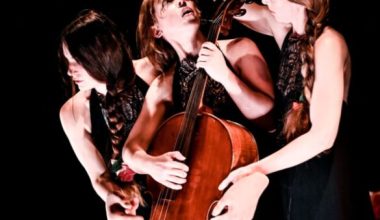 “Mücadeleye Devam” Institut Français Desteğiyle DasDas Sahnesinde!