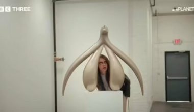 Cara Delevingne kadın cinselliği araştırması için denek oldu Cara Delevingne kadın cinselliği araştırması için denek oldu