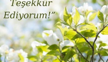 OKURLARIMA TEŞEKKÜR EDİYORUM!