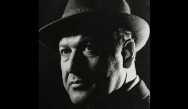 Ve Cüneyt Gökçer…