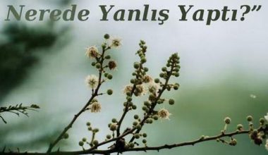 ŞOFÖR SEYFİ NEREDE YANLIŞ YAPTI?