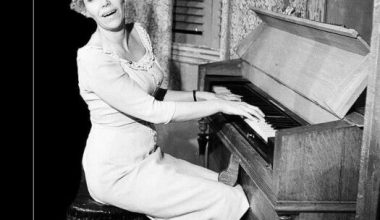 Mediha Gökçer’in Anısına: Mediha Gökçer’in Anısına: