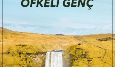 ÖFKELİ GENÇ